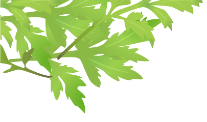 はりきゅうよもぎ治療院｜名古屋市昭和区