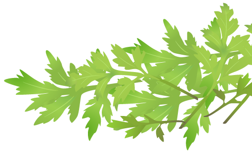 はりきゅう|産後整体｜骨盤矯正｜東別院｜託児|名古屋市昭和区