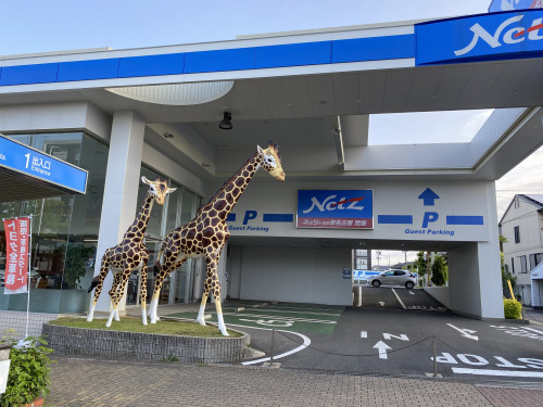 はりきゅう整体・産後骨盤矯正｜子連れOK｜鶴舞線荒畑駅｜名古屋