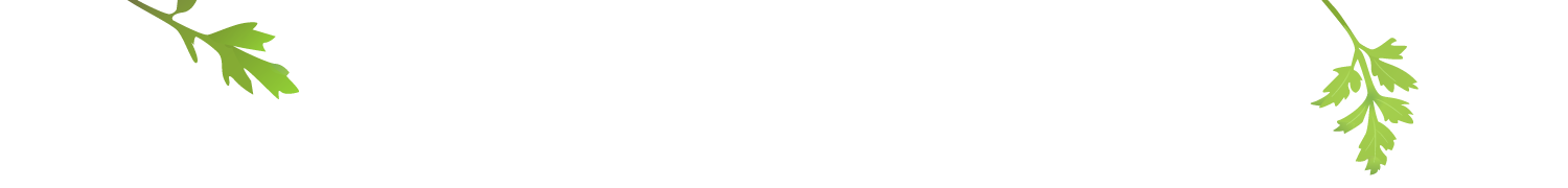 妊娠中の整体|名古屋