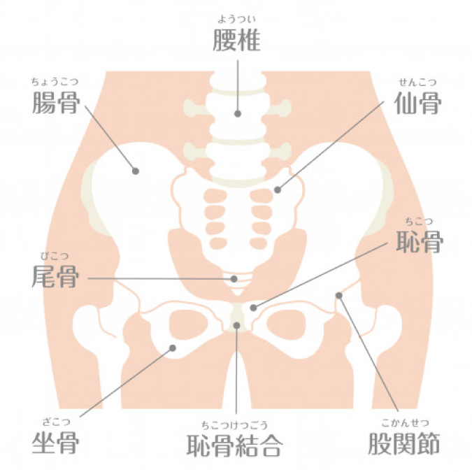 整体・骨盤矯正について|名古屋